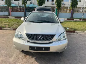 Lexus RX 2007 Gray