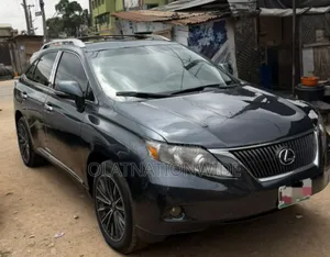 Lexus RX 2010 Gray