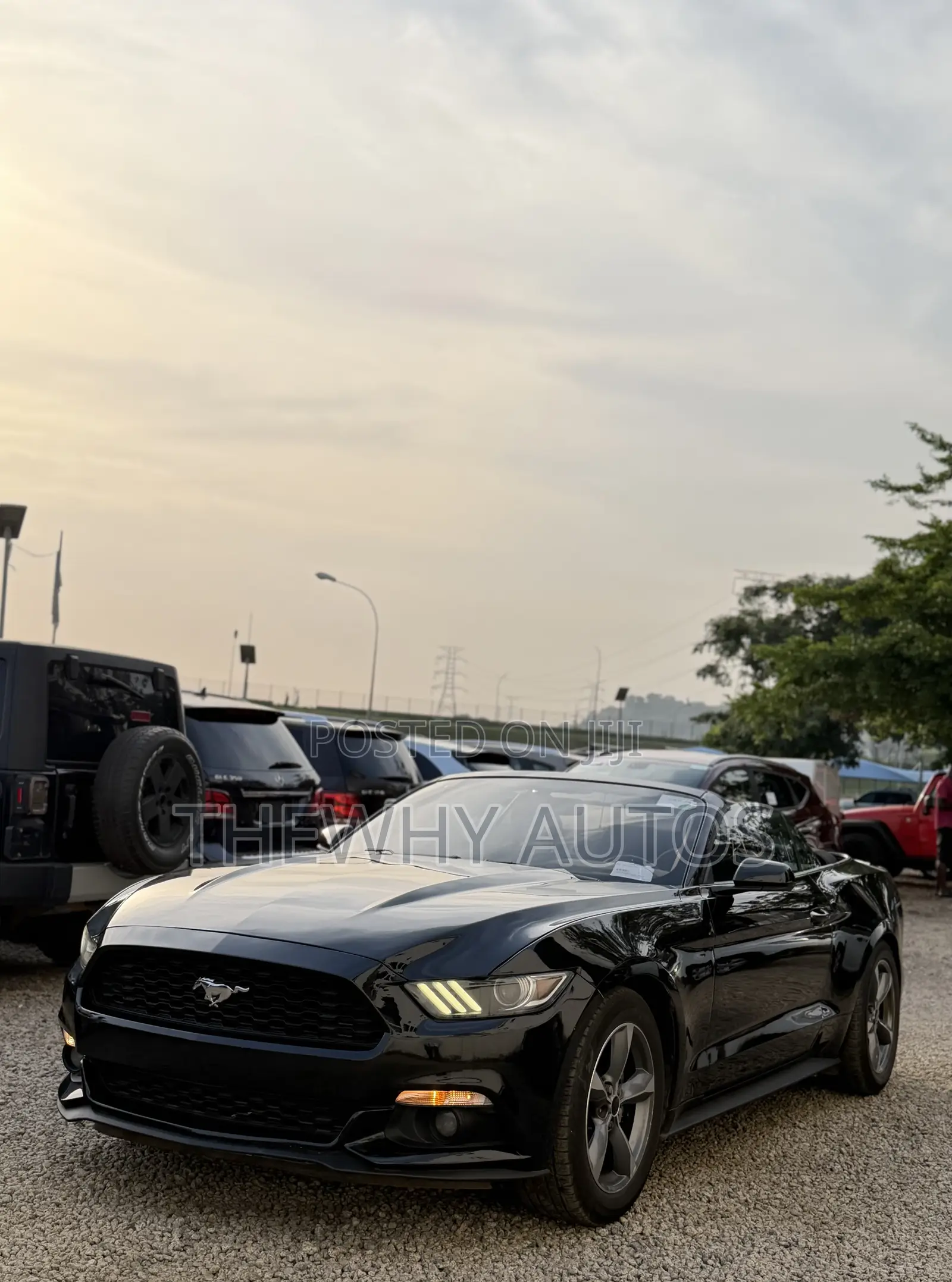 Ford Mustang V6 Convertible 2016 Black