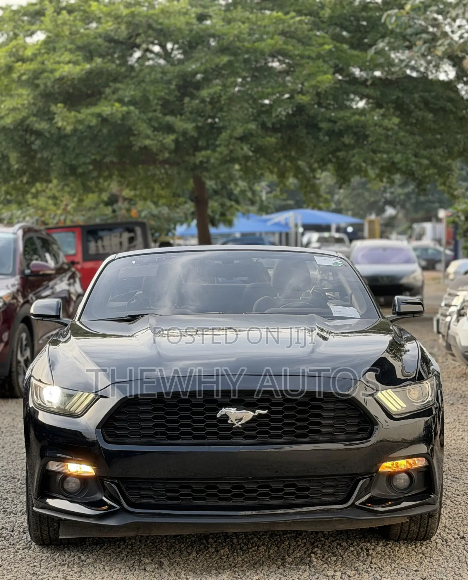 Ford Mustang V6 Convertible 2016 Black