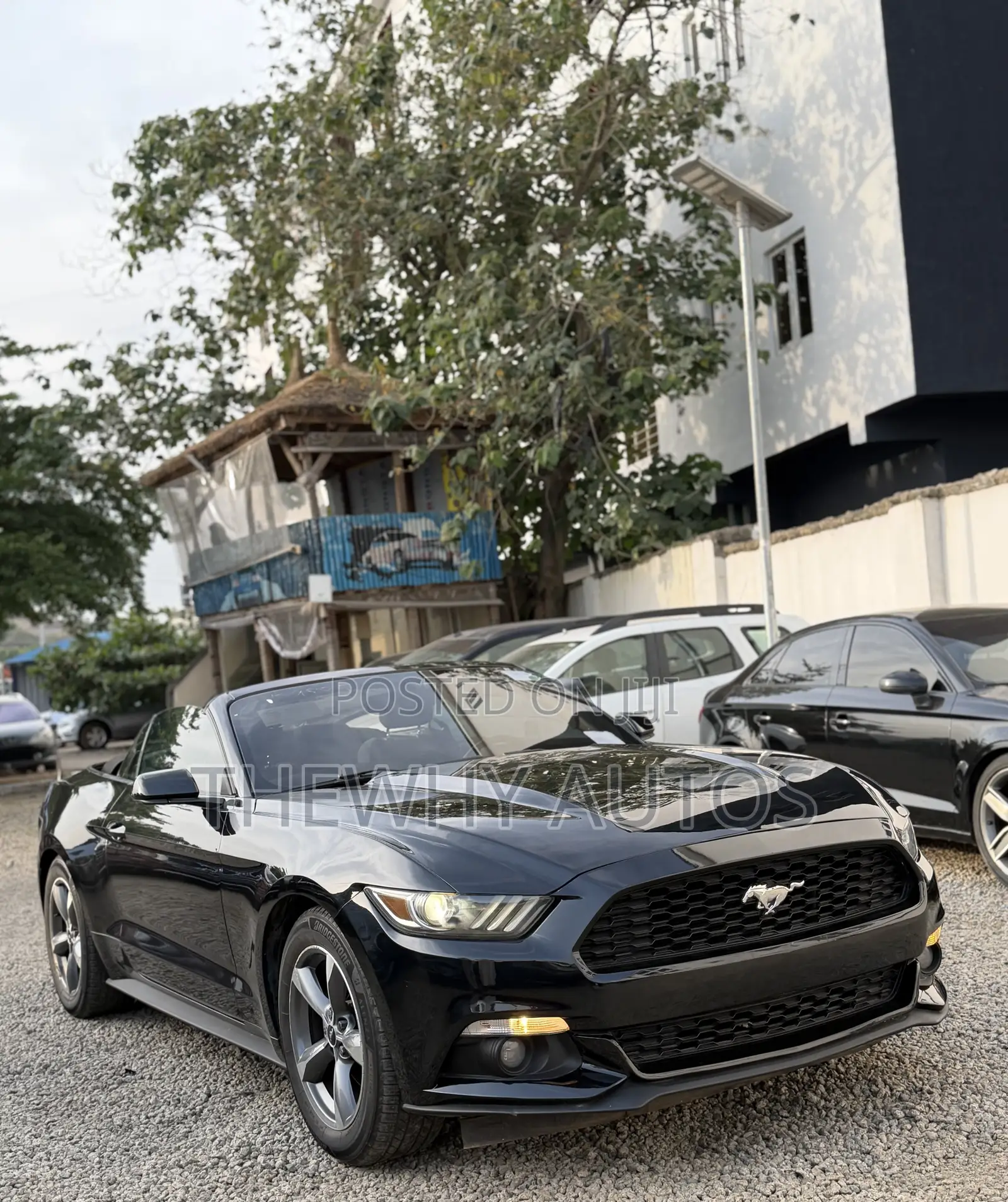 Ford Mustang V6 Convertible 2016 Black
