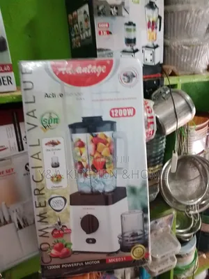 3l Advantage Blender