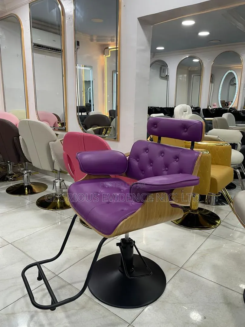Unisex Salon Chair Wd887