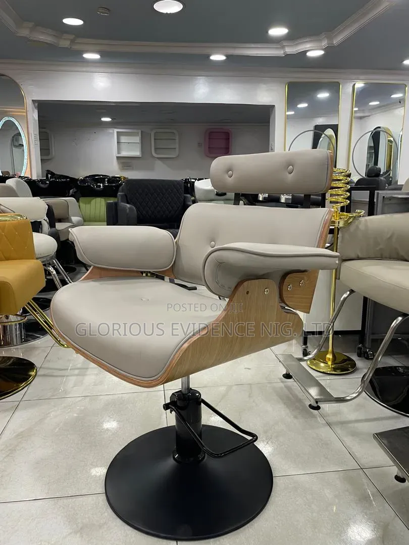 Unisex Salon Chair Wd887