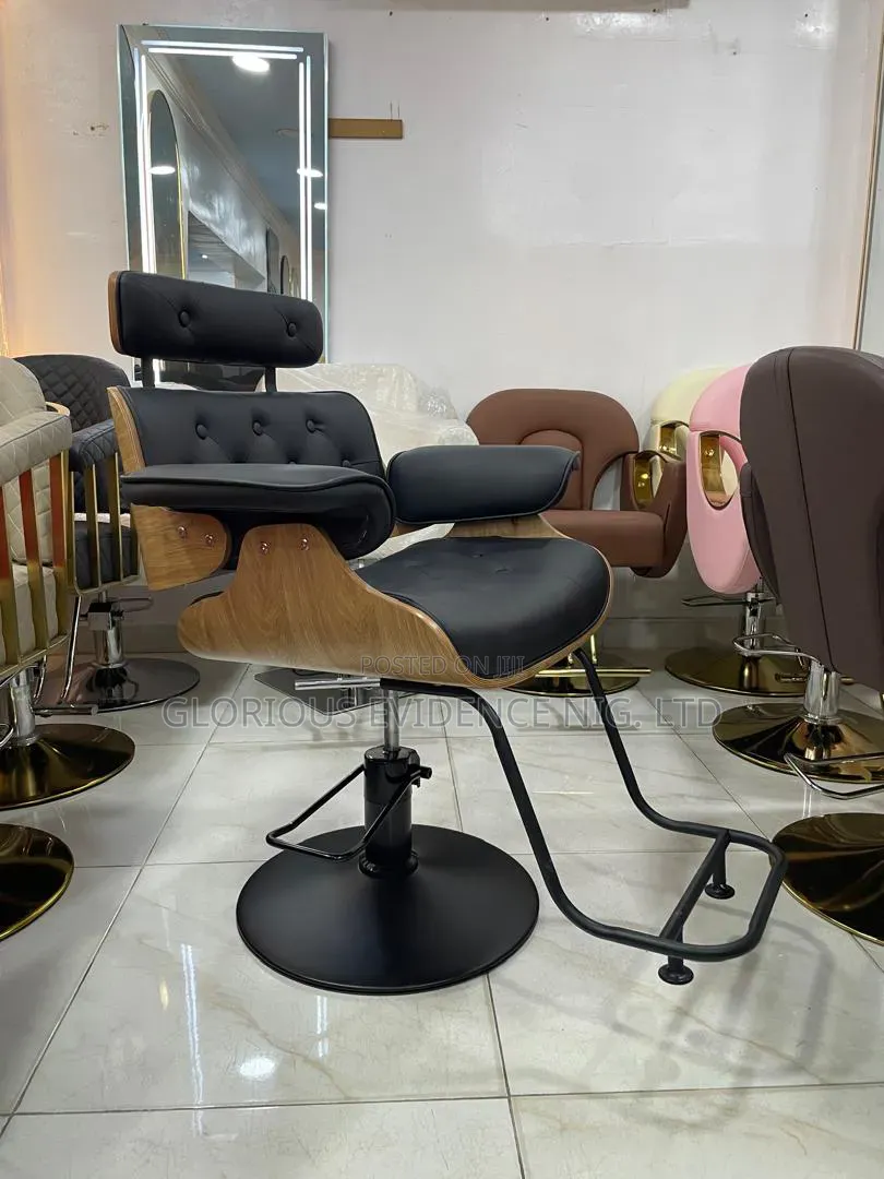 Unisex Salon Chair Wd887