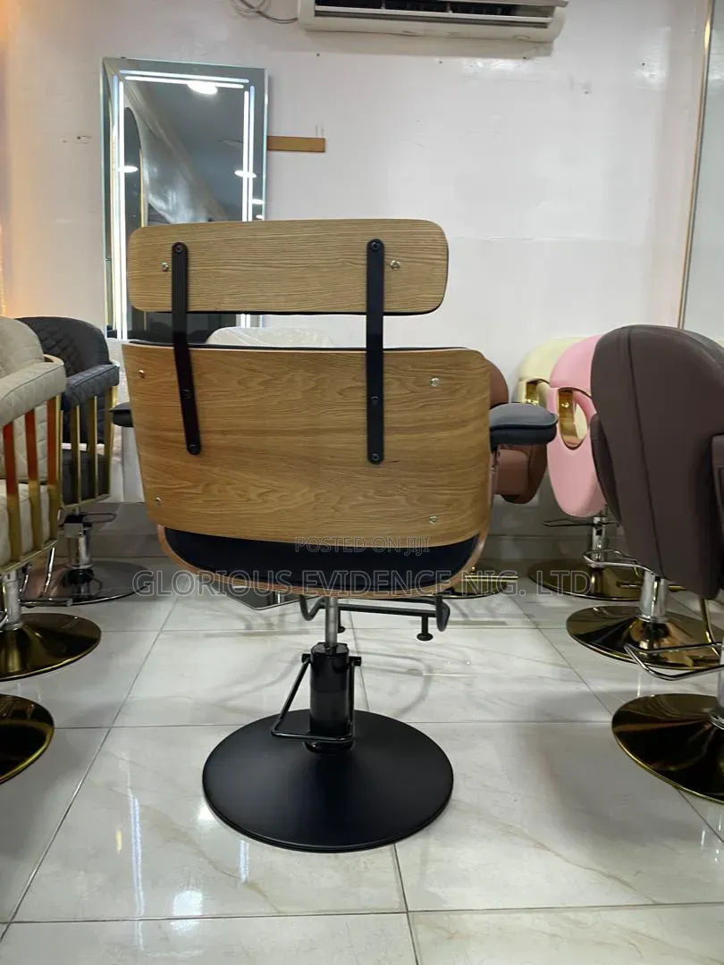 Unisex Salon Chair Wd887