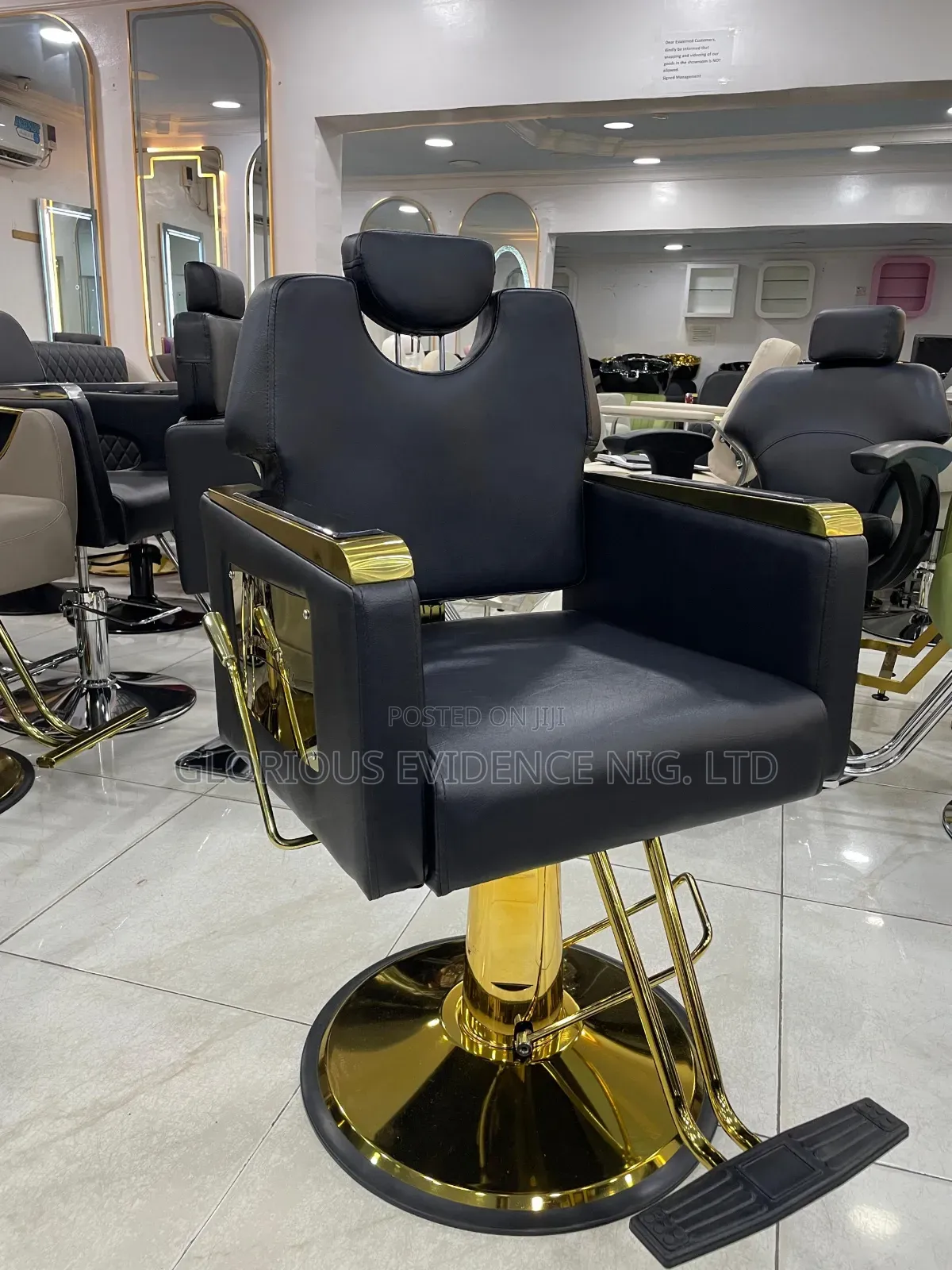 Professional Barber Chair