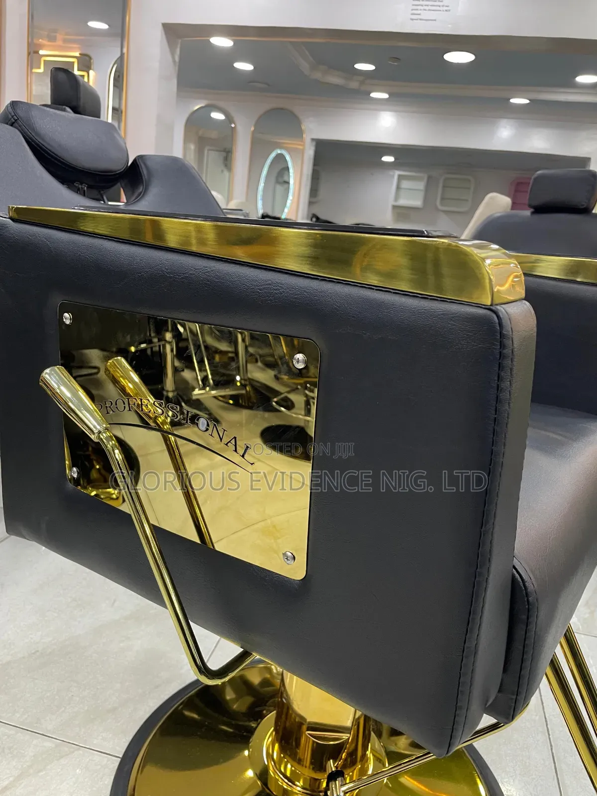 Professional Barber Chair