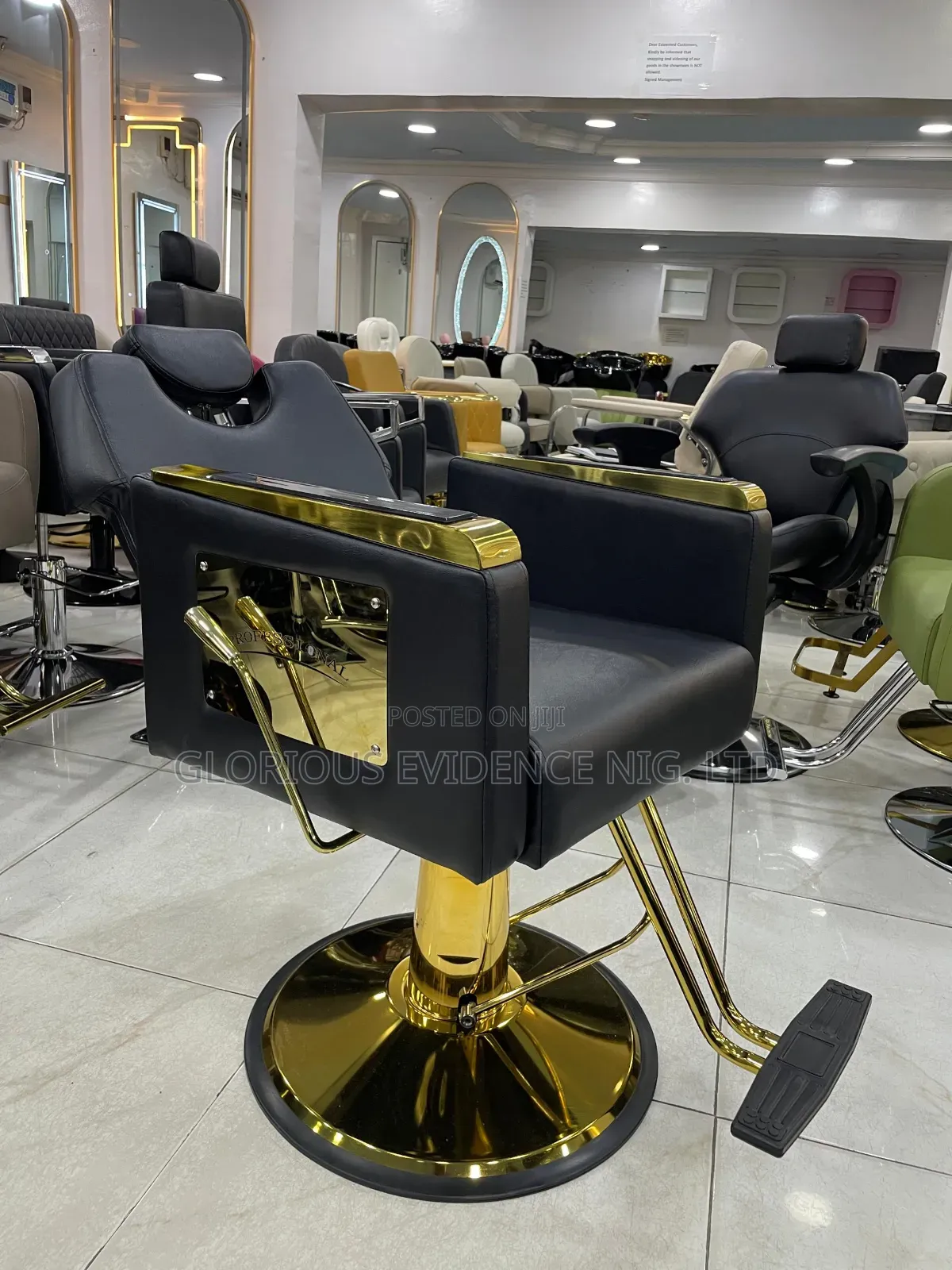 Professional Barber Chair