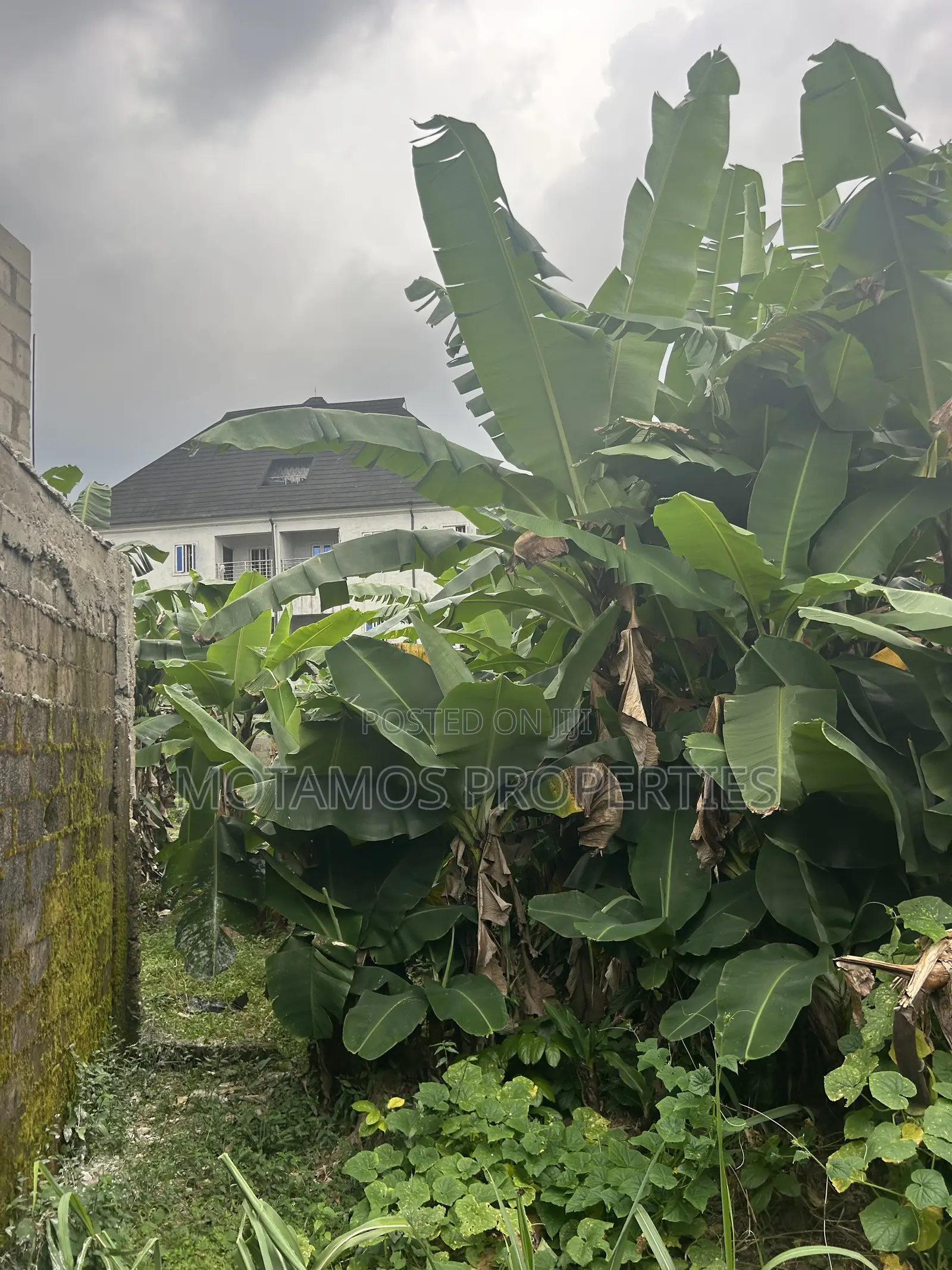 2plots of Land for Sale at Egbelu Minita Estate Ph