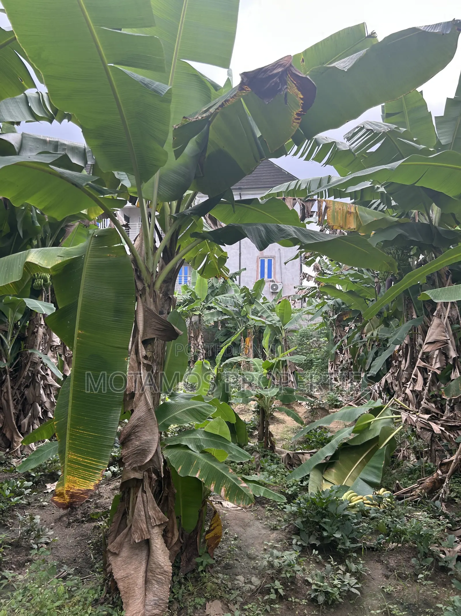2plots of Land for Sale at Egbelu Minita Estate Ph