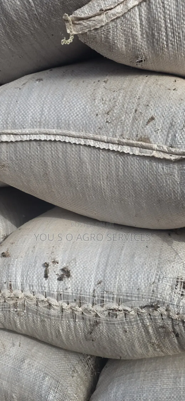 Clean Niger Aya (Tiger Nuts) Direct Supply