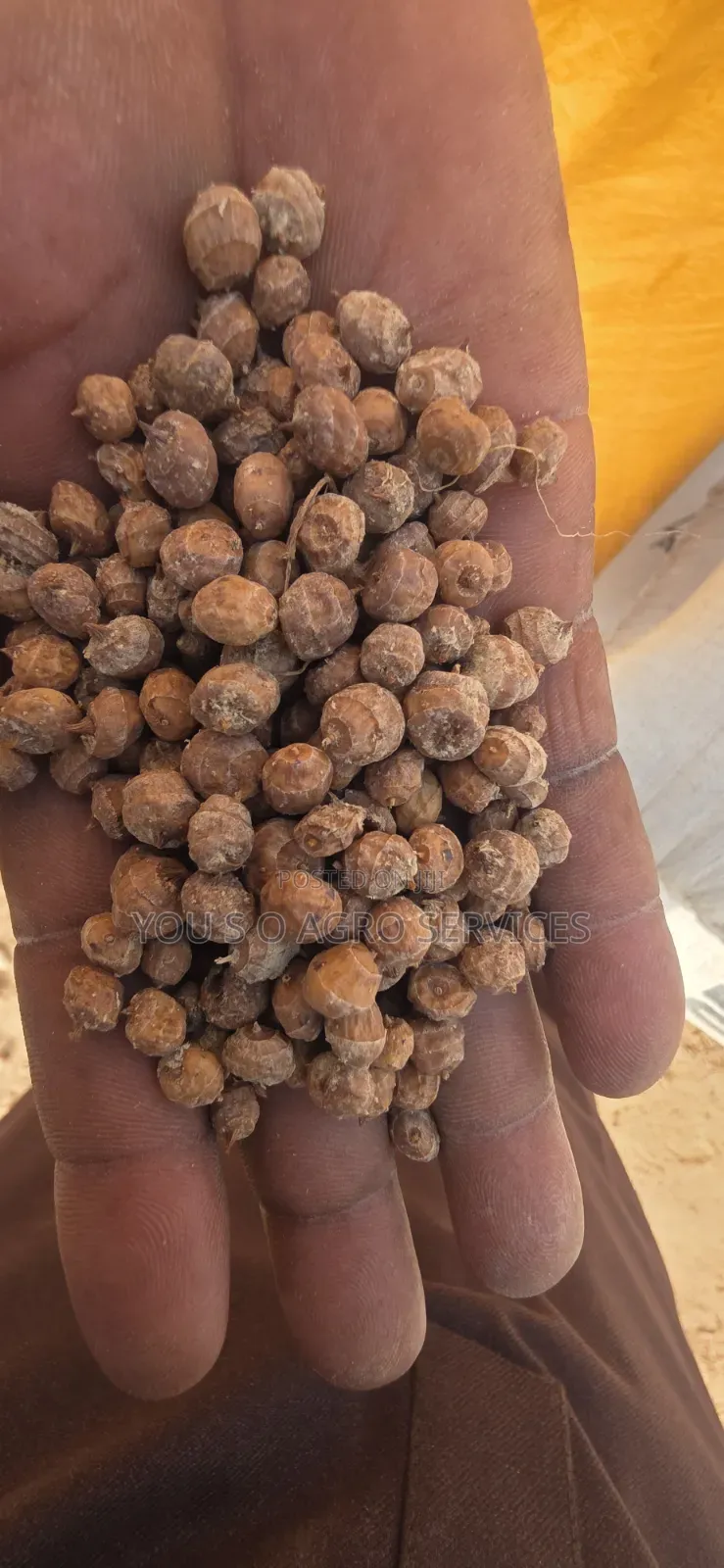 Clean Niger Aya (Tiger Nuts) Direct Supply