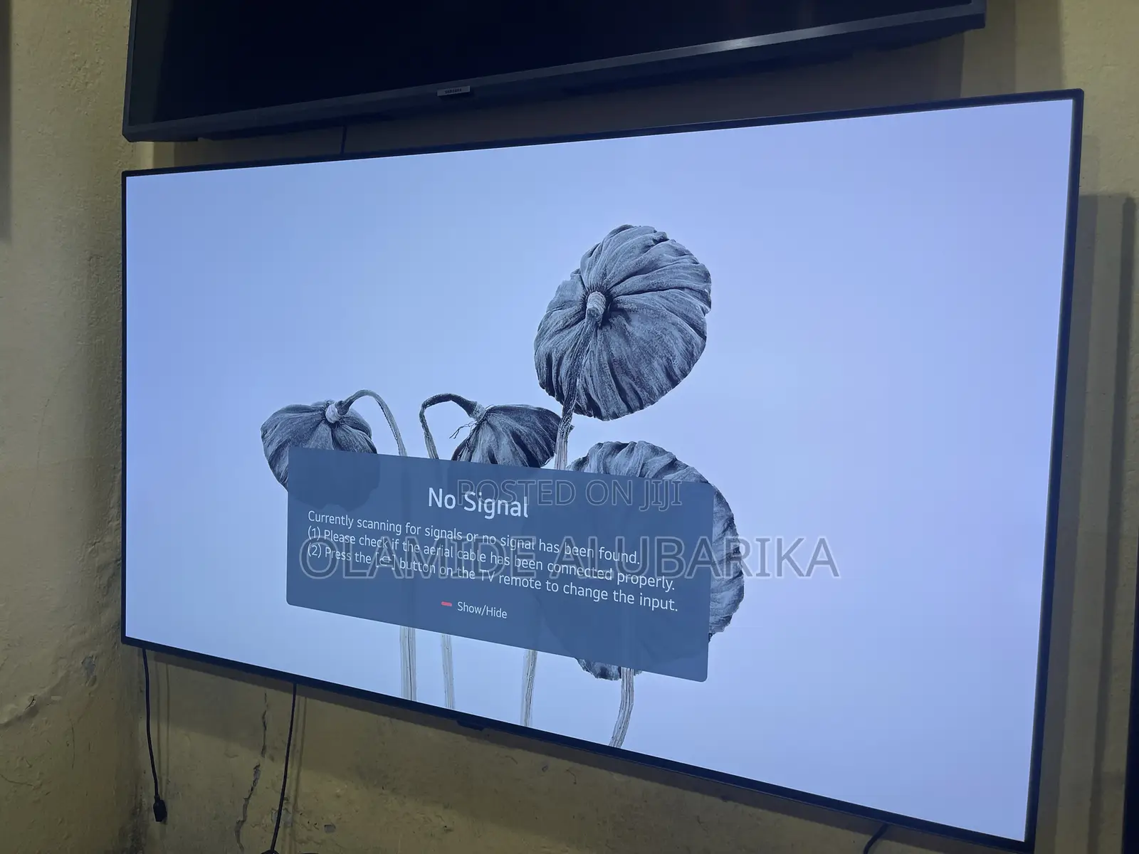LG OLED 55” B4 (2024 Model) Ultra 4k Smart TV With Apple TV