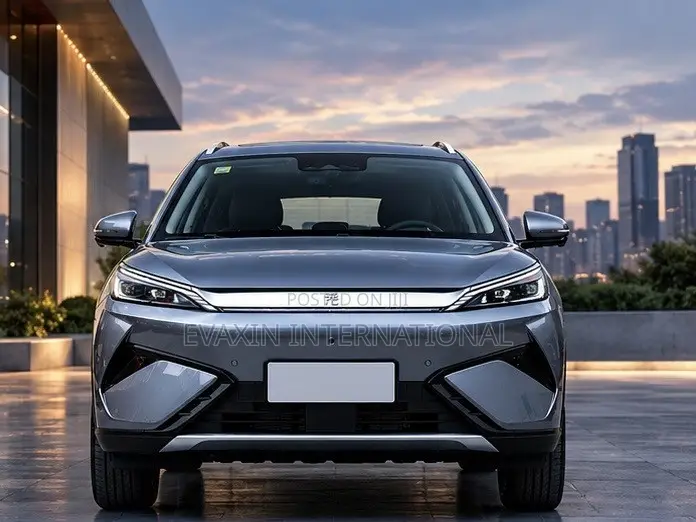 New BYD Yuan Plus 2025 Gray