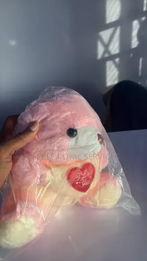 Teddy Bear With Heartfelt Message