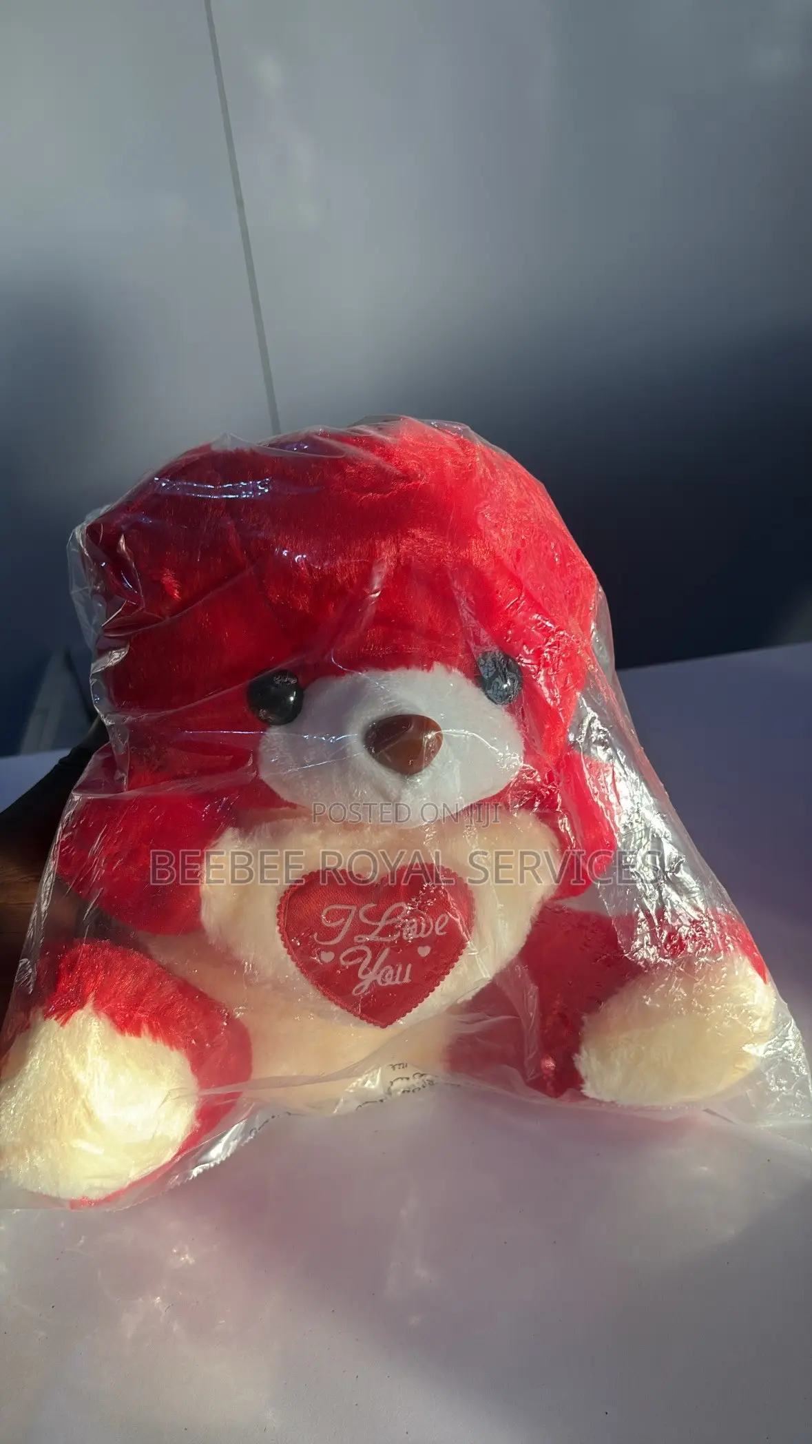 Teddy Bear With Heartfelt Message