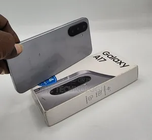 Samsung Galaxy A17 128 GB Gray