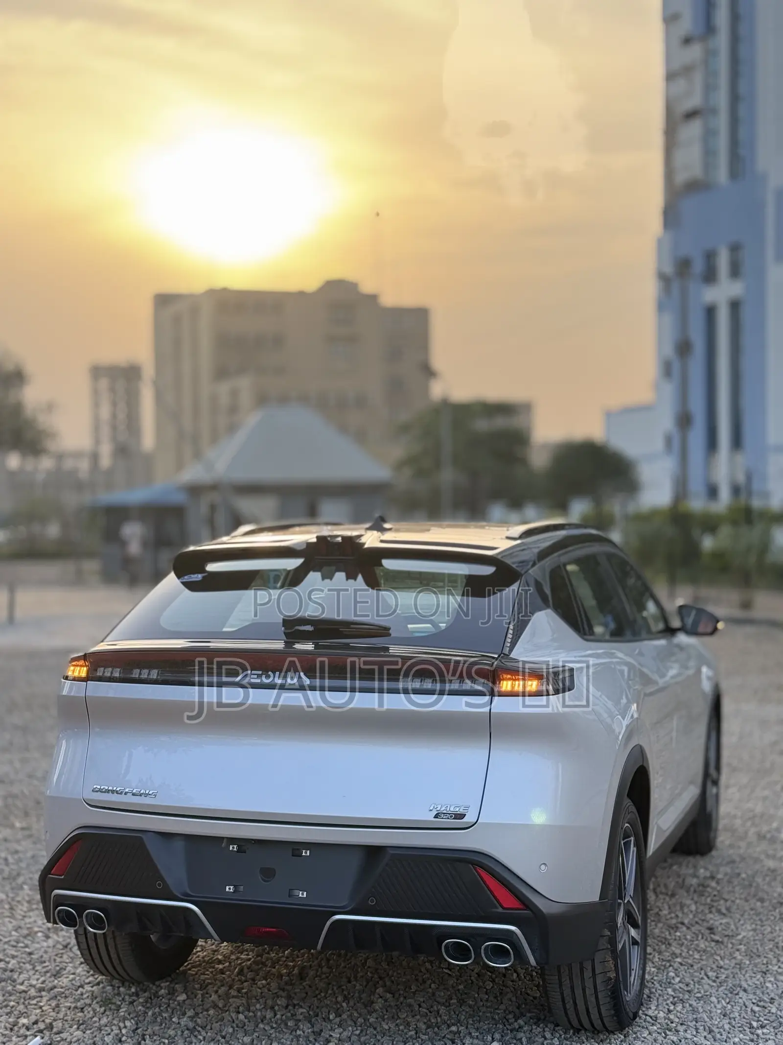 New Dongfeng Rich 2025 Silver