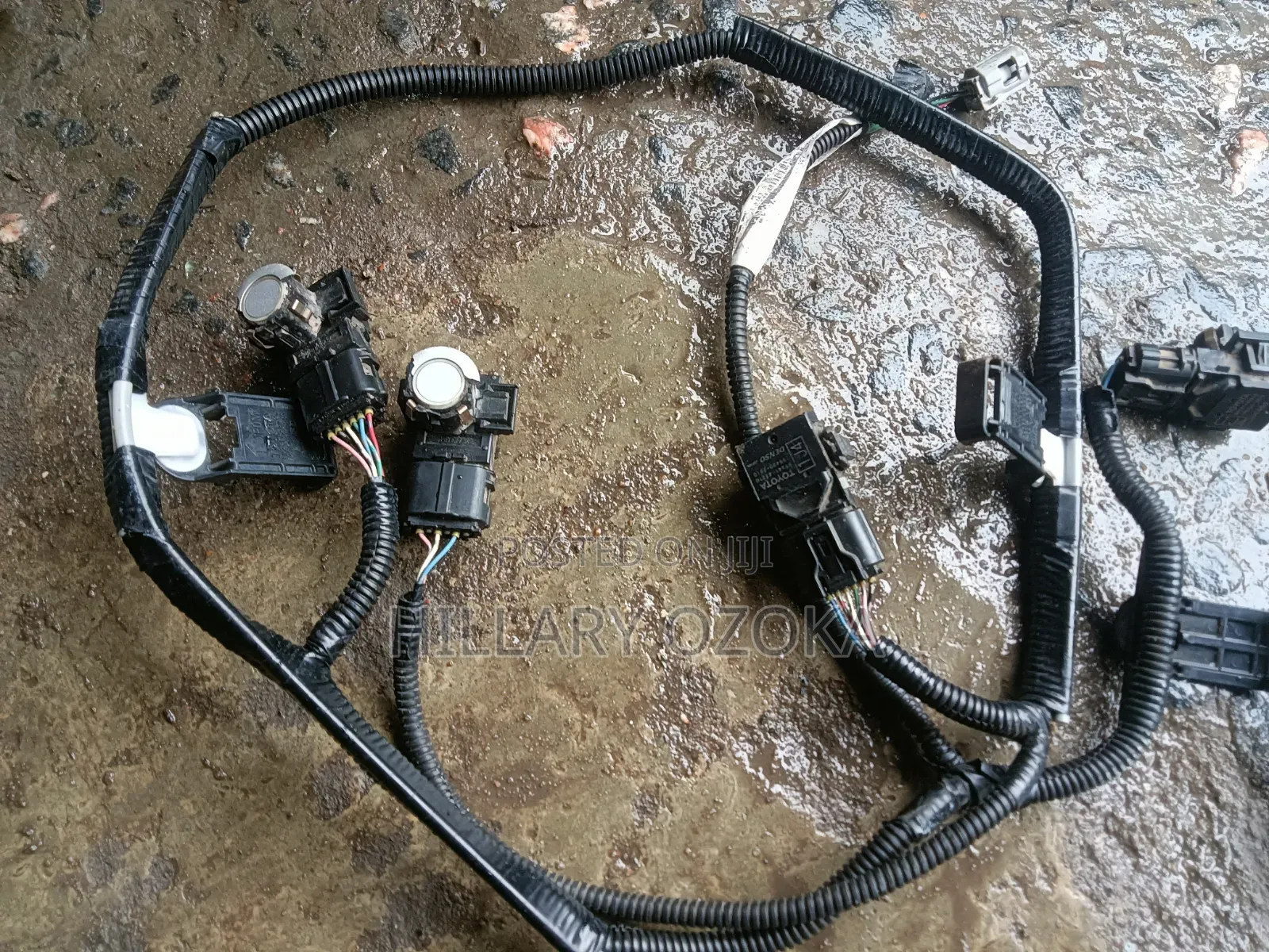 Complete Front Bumper Sensor With Wire Rx 350 2013 Model