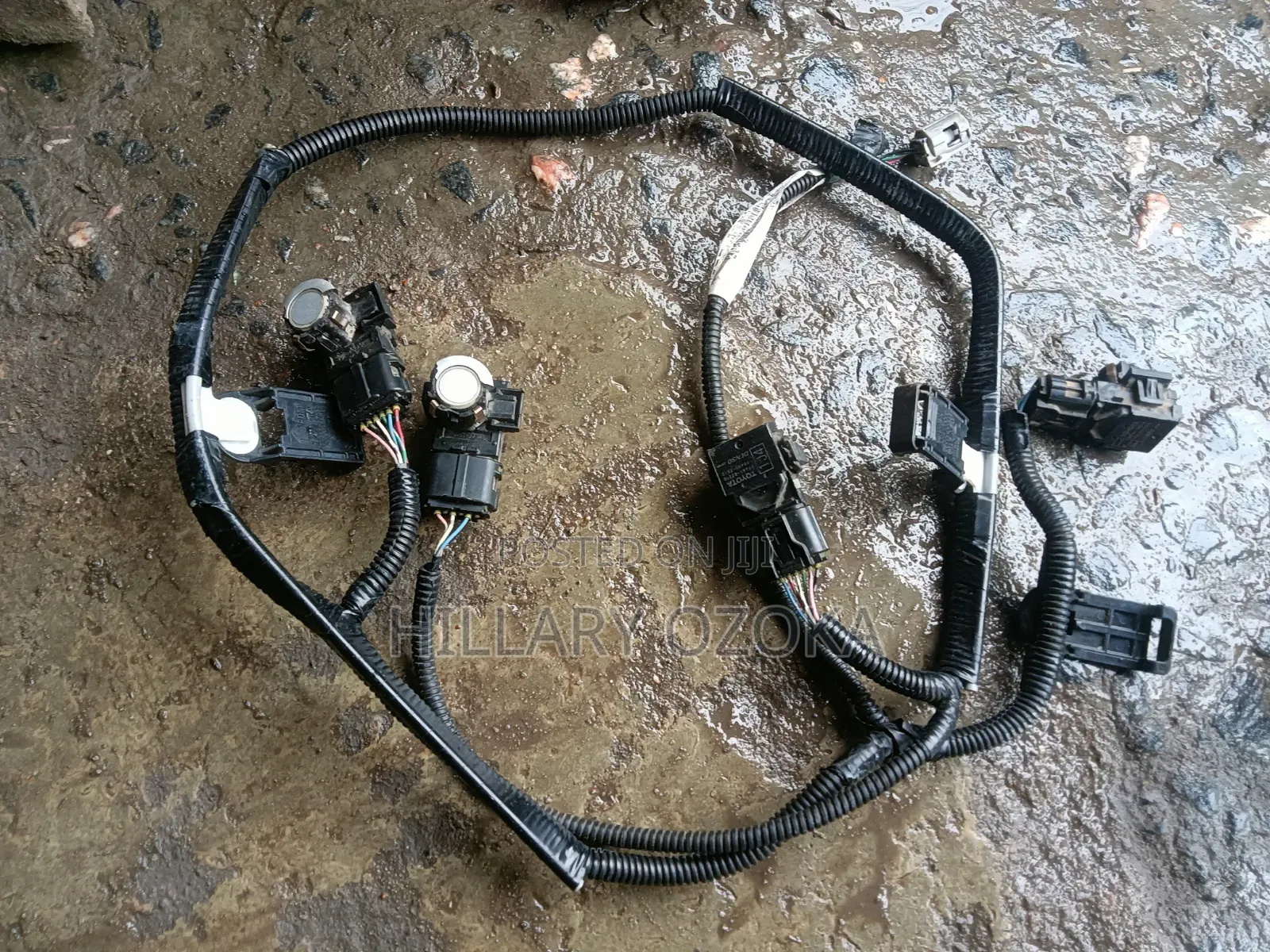 Complete Front Bumper Sensor With Wire Rx 350 2013 Model