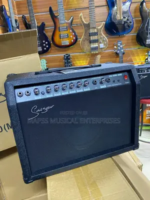 Smiger TG-40R-MIC Lead Guitar Combo Amplifier
