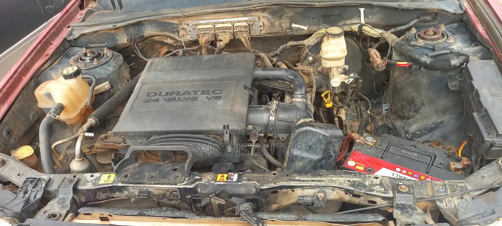 Ford Escape 2008 Orange