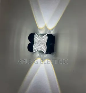 Premium Outdoor LED Wall Light at 3ple G Electric