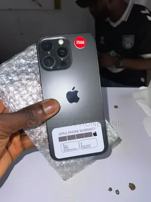 Apple iPhone 15 Pro Max 256 GB Gray