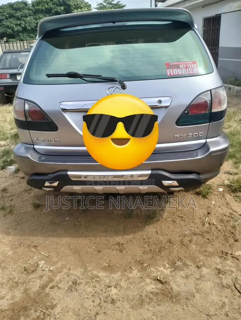 Lexus RX 2004 Gray