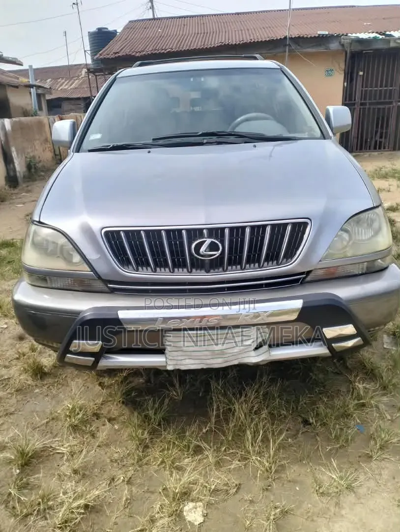 Lexus RX 2004 Gray
