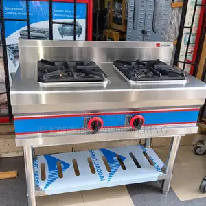 Commercial Stainless Steel Double-Burner Gas Cooker With Stand