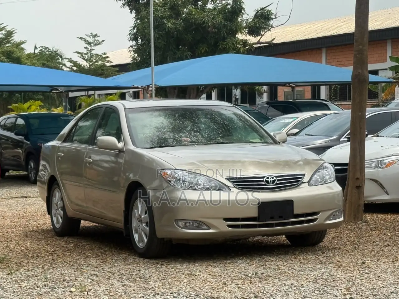 Toyota Camry 2005 Gold