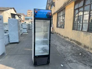 Industrial Single Vertical Display Chiller Machine Available for Sale