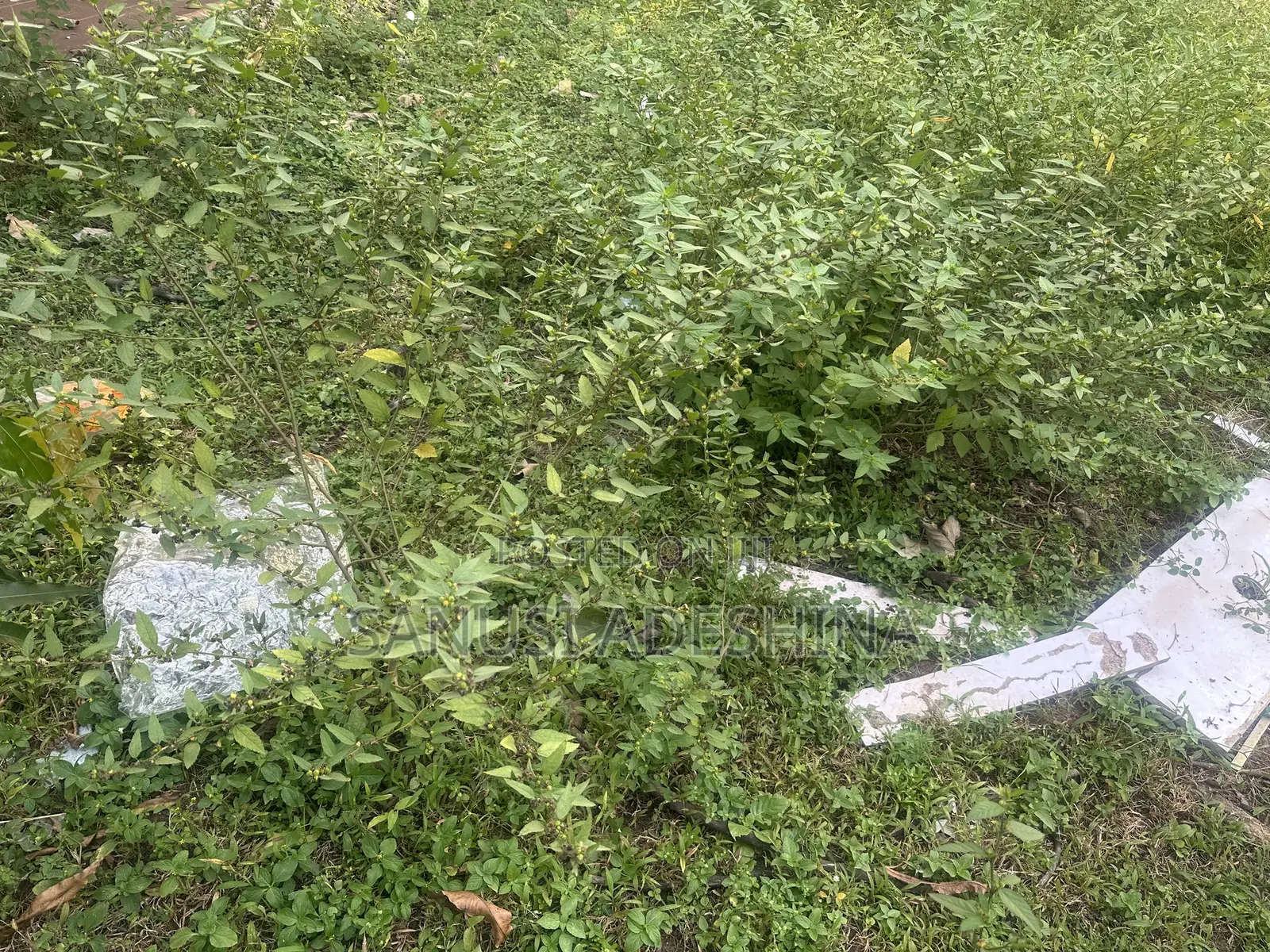 30 Hectares of a Land at Karsana South Abuja Nigeria