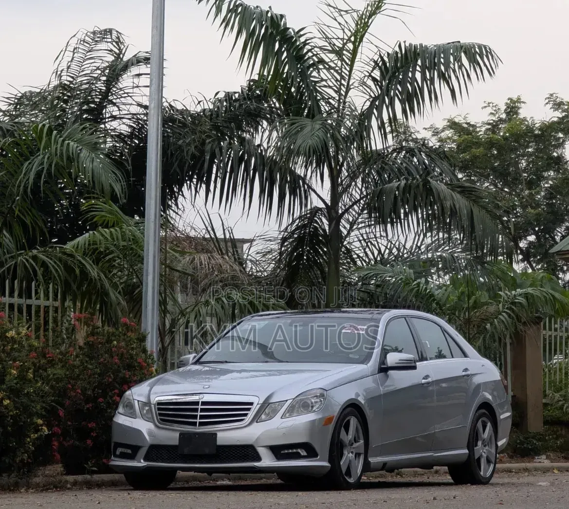 Mercedes-Benz E350 2011 Silver