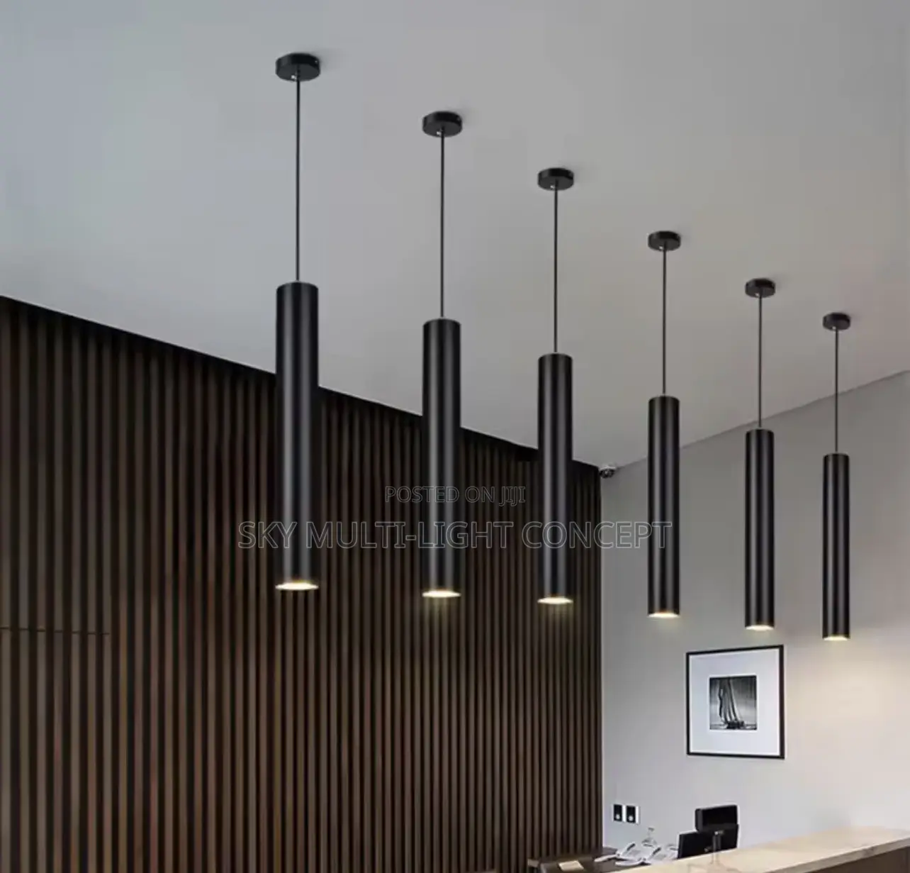 Modern LED Pendant Long Spot Light