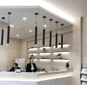 Modern LED Pendant Long Spot Light