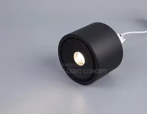 Led Spotlight Small Beam Angle Degree Spot Light