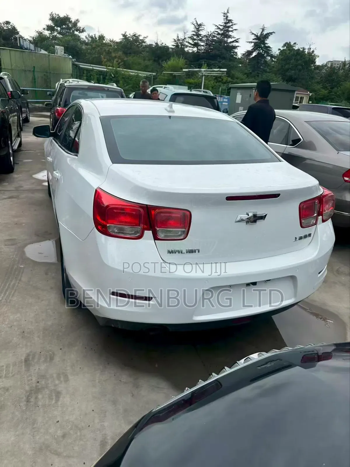 Chevrolet Malibu 2013 White