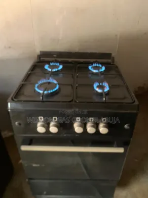 Gas Cooker Professional Maintenance