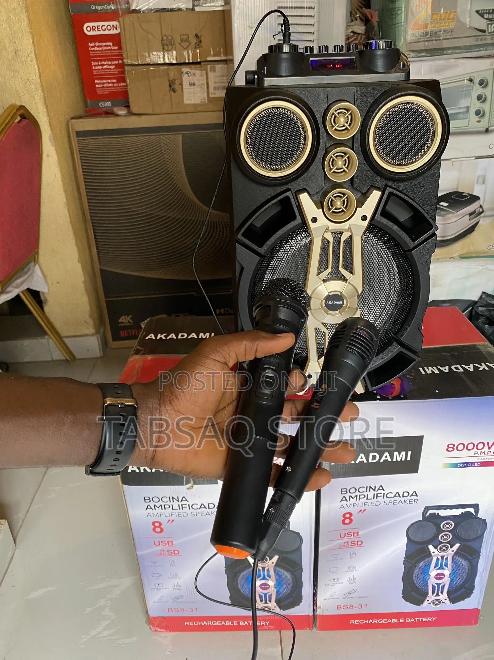 Akadami Amplified Speaker/ Public Address System | 8000w| Bs8-31