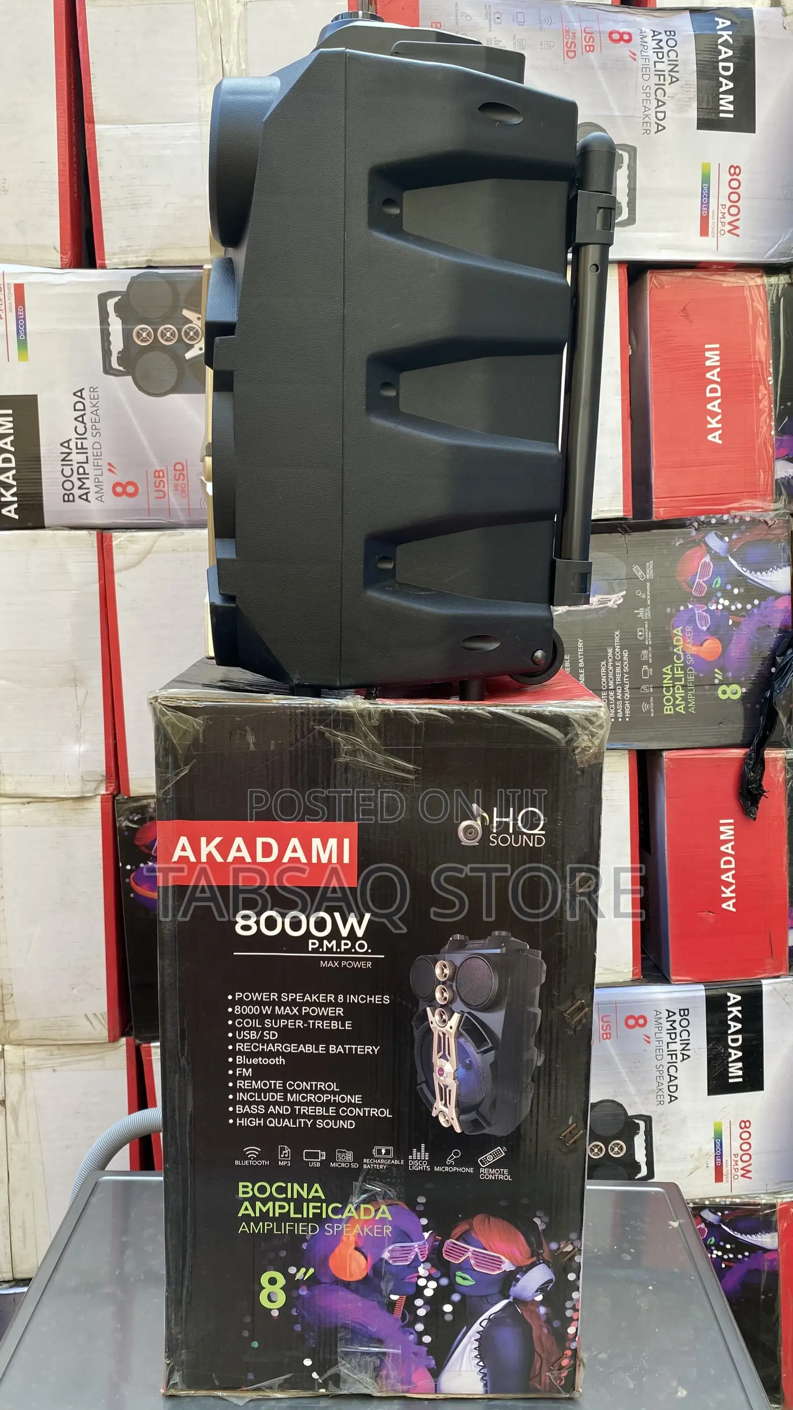 Akadami Amplified Speaker/ Public Address System | 8000w| Bs8-31