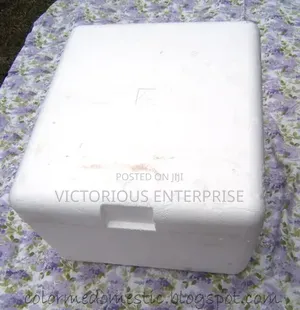 Styrofoam Coolers for Fish and Seafood Businesses
