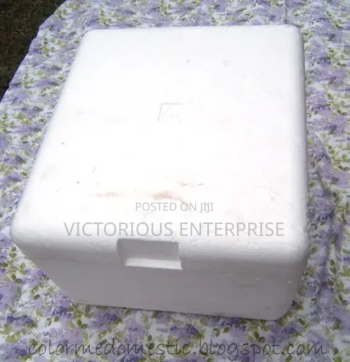 Styrofoam Coolers for Fish and Seafood Businesses