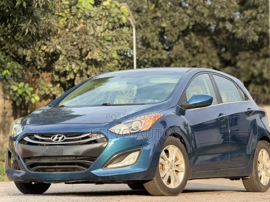 Hyundai Elantra 2014 Blue