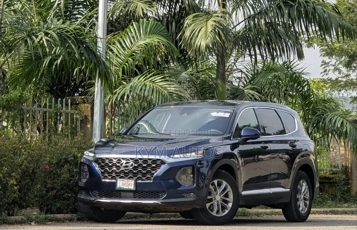 Hyundai Santa Fe 2019 Blue