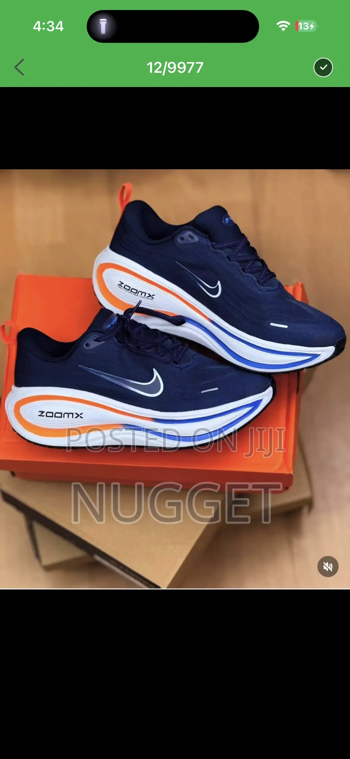 Nike Zoom Sneakers
