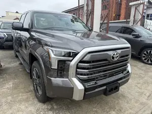 Toyota Tundra 2024 Gray