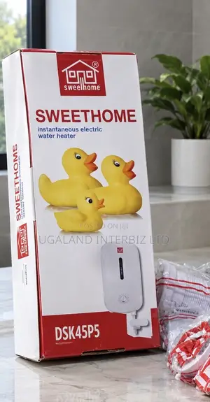 Instantaneous Electric Water Heater
